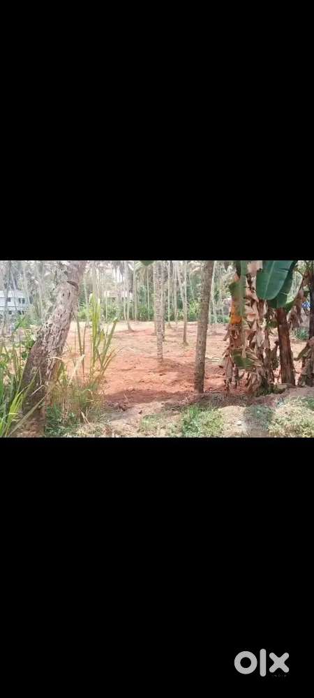 Near Sreekarym Engineering college