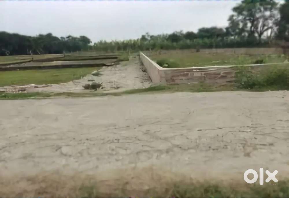 Residential plot