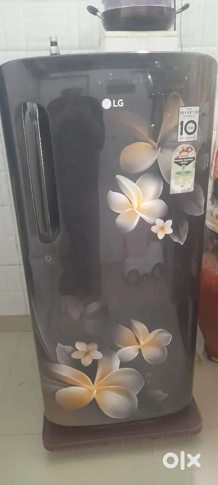 Lg Refrigerator