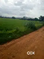 1.4 acers agriculture land sale for 75lakhs