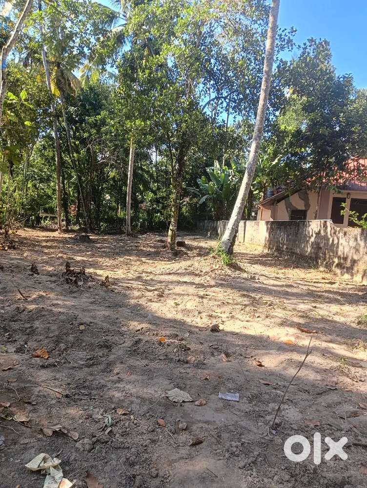 13 cent square Plot  sale Mangalapuram