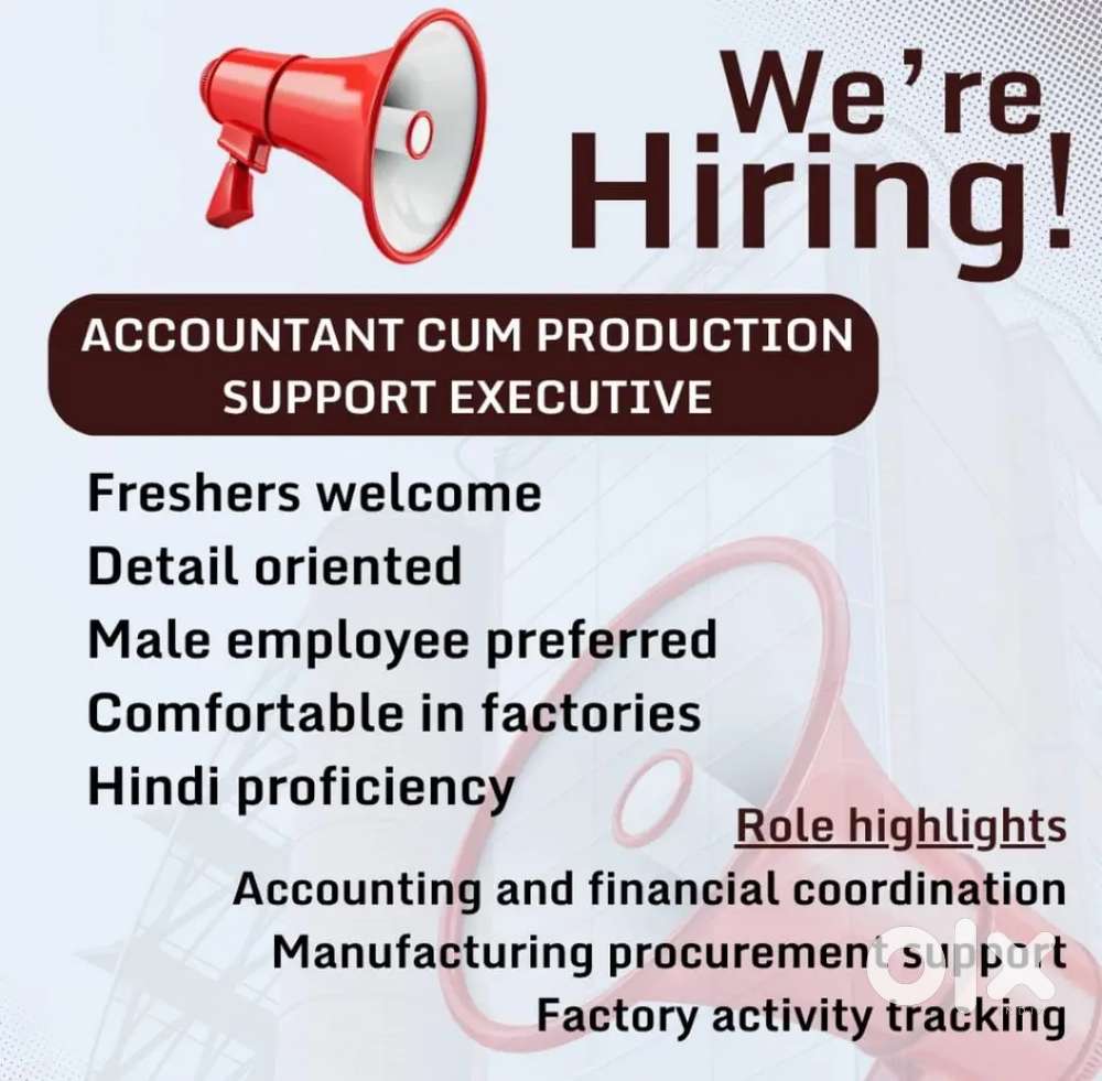 Accountant and production support executive