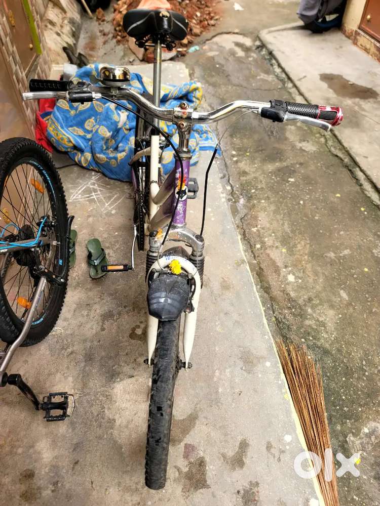 Firefox ladybird cycle