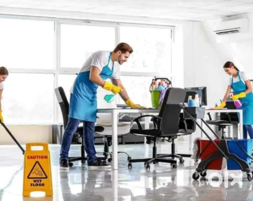 I am a housekeeper guy