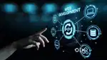 Website Creator Web Development and App Development