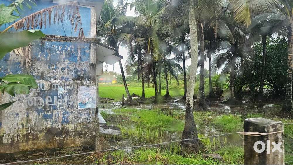 20 cents of land for sale