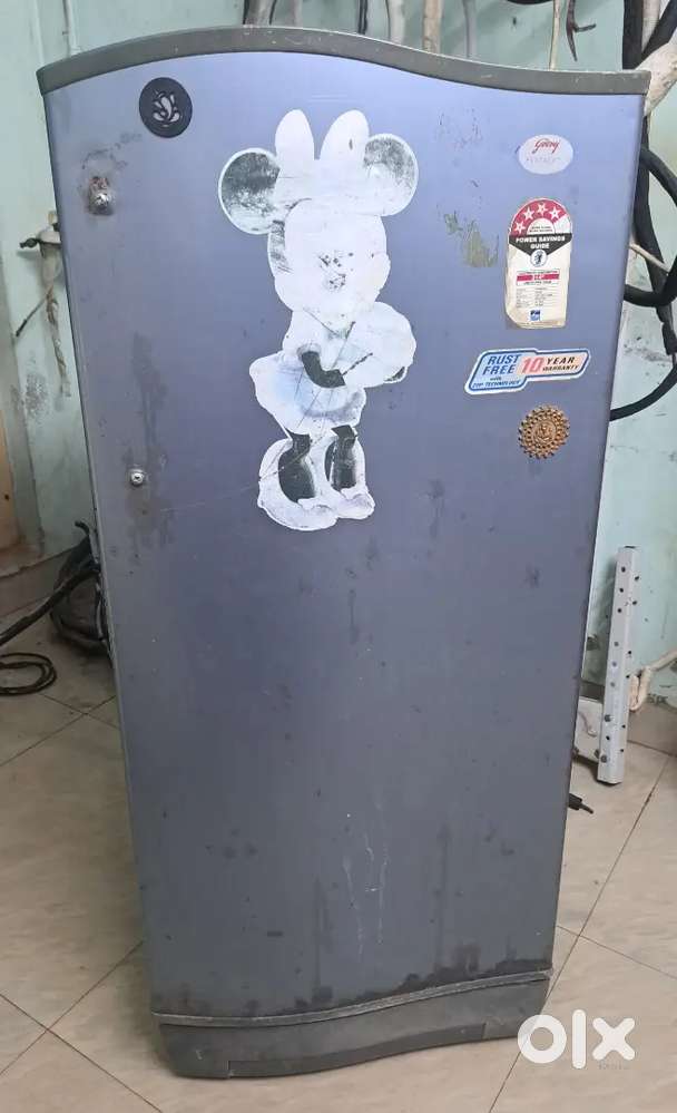 195 liters capacity fridge