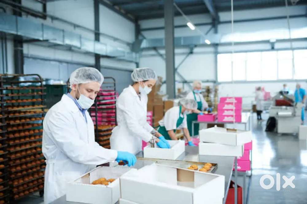 MEDICINE PACKING में (Boys और Girls) की पैकिंग के लिए जरूरत है !!