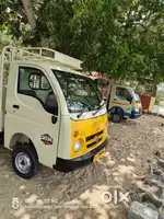 TATA ACE GOLD