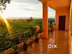 Homestay rooms rental or lease near Bhaniyawala dehradun AIRPORT