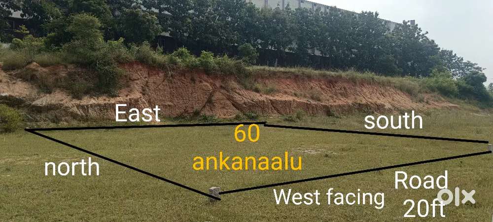 Plot sale MGR college back side chittoor road