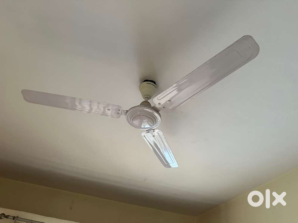 Ceiling Fan