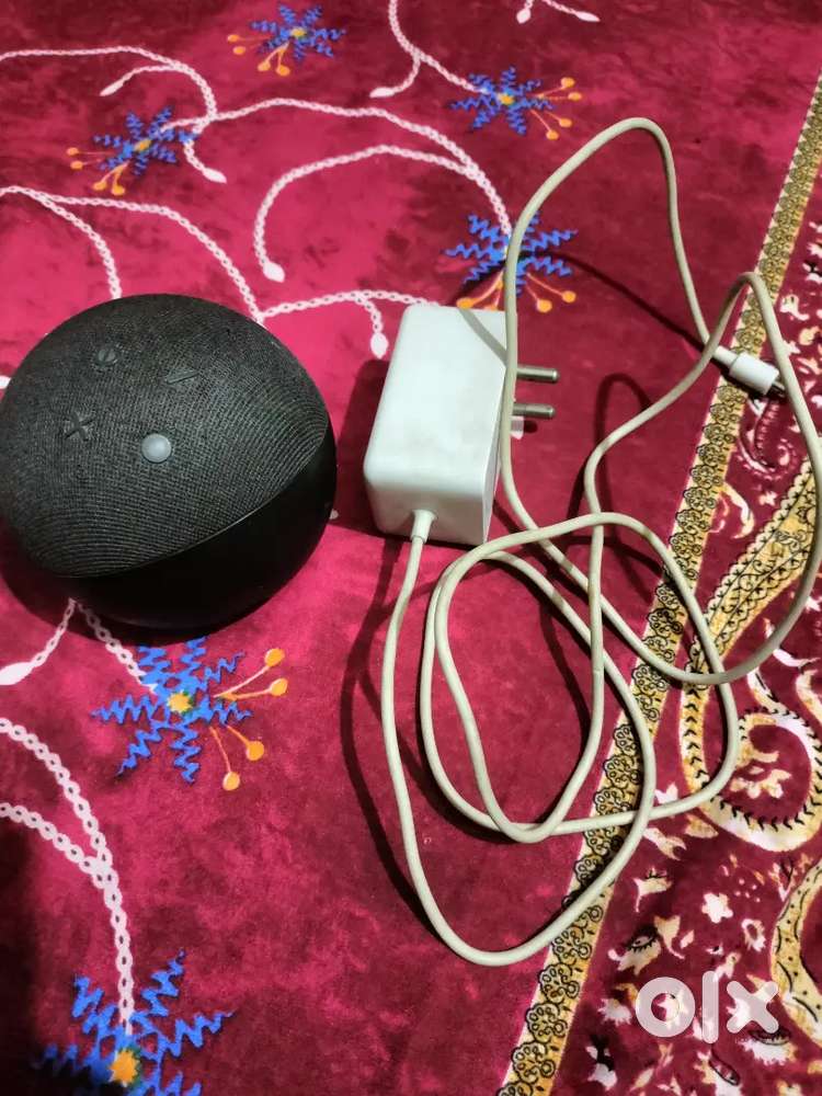 Akexa 9 month old , 5th generation