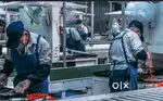 HIRING FOR MANUFACTURING COMPANY