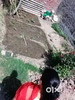 Plot for sale