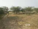 Dtcp approved Land for sale near mappedu pillayarkuppam