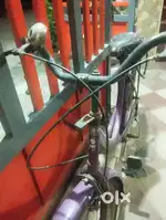 Lady's cycle