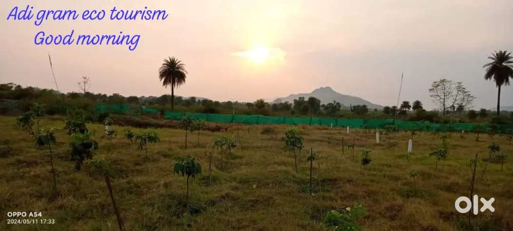 Dhanbad Jharkhand barwadda kalayan pur 5dismil plot abulval h sasta