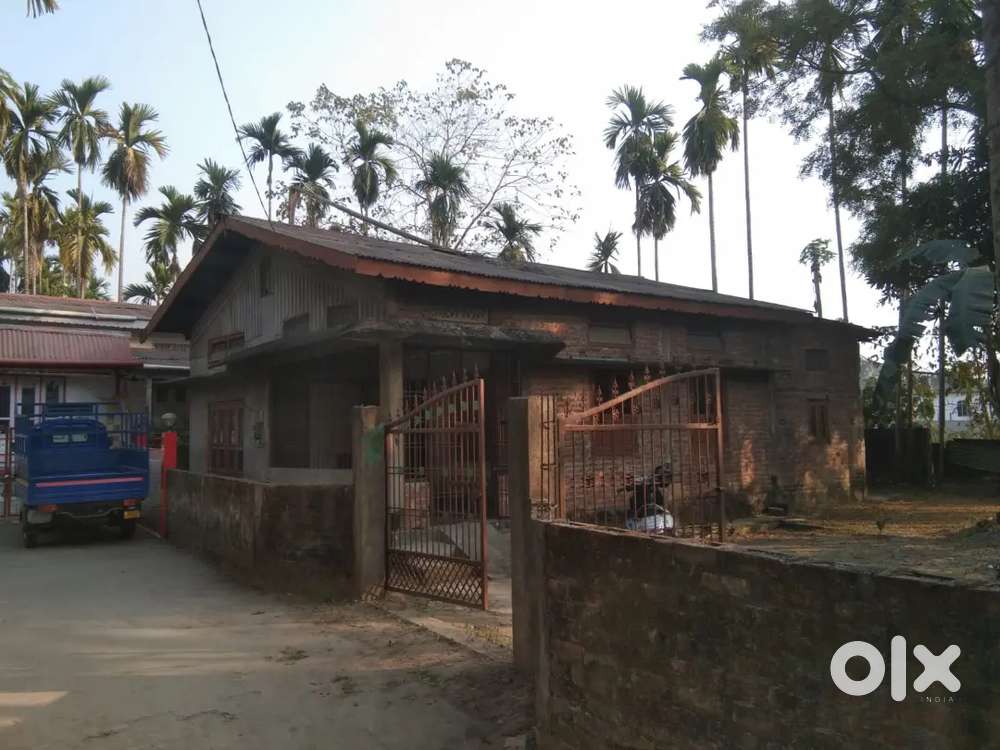 Assam Type House