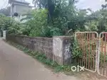Aluva uc college 4 cent house plot