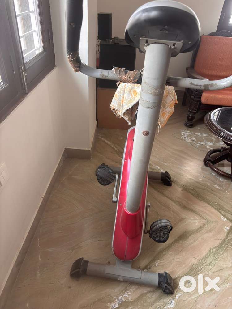 Gym bi-cycle