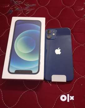 iPhone 12 MINI blue (64)