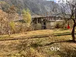 sunny side plot