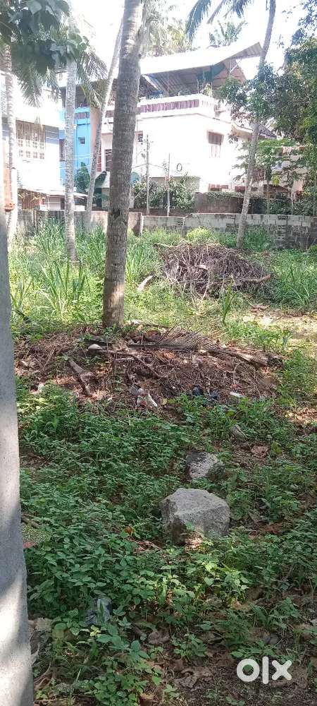 Plot  For  Sale  12 cent  B T R പുരയിടം Near   Lulumall  Trivandrum