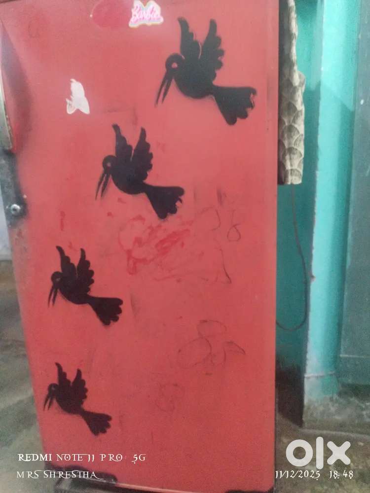 Kelvinator refrigerator