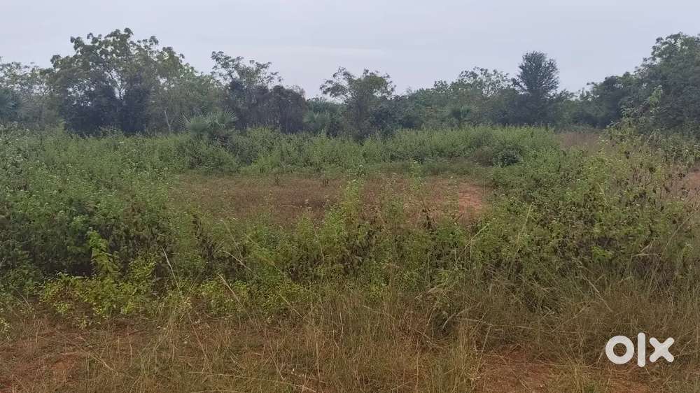 Near by nh-5 autonagar