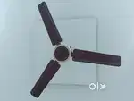 New Orintal Ceiling Fan