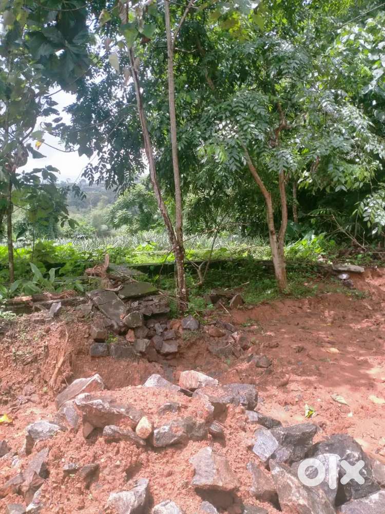 Piravom land for sale
