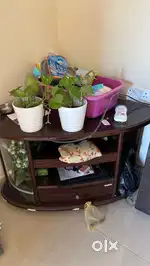 tringle shape TV unit