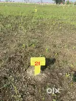 Opposite VVIT, Namburu # West Facing Open Plots # Sq.yd just Rs.9000/-