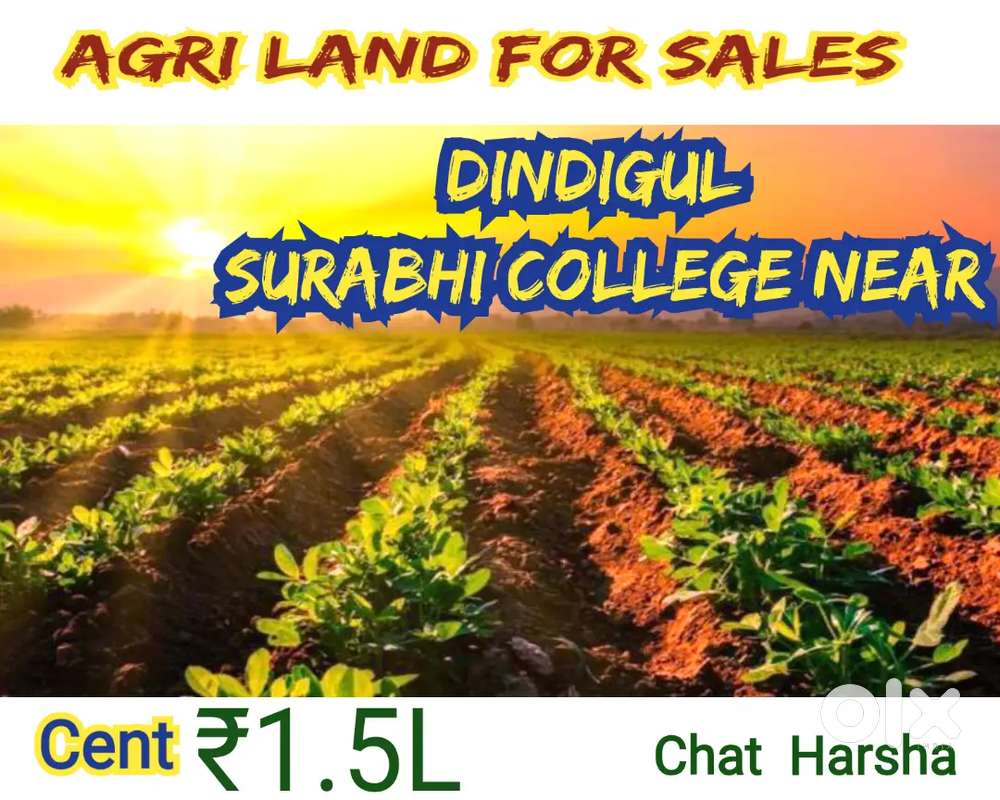Agri Farms for sales (Between Residence)
