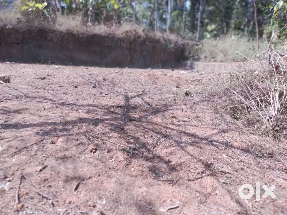 Plot for Sale Near Vellayani