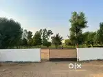 42 vigha farm house + agriculture land for sale