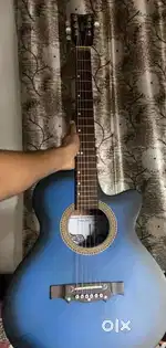 Guitar Aucostic