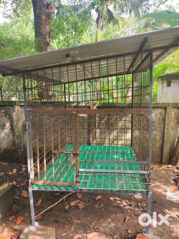 Dog cage strong and heavy