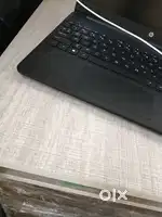 Collection executive