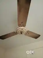 1 house room fan