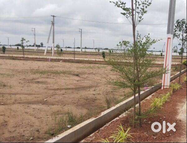 Approved Layout Plots Starting from ₹10 Lakhs