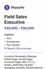 Phonepe Marketing Executive