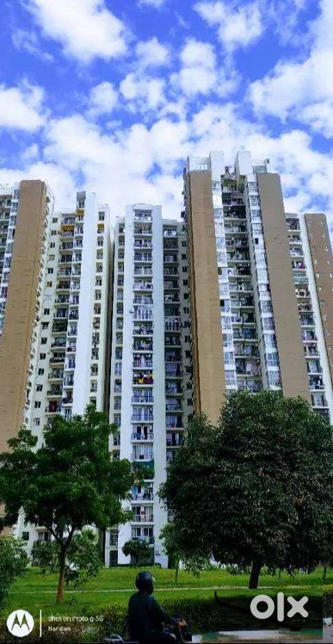 Fully Furnished Flat in Noida Sector-151,  Greater Noida Expressway