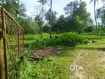2.1acres of residential plot from NH 47 with Road access to the plot