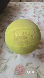 Vixen weight medicine ball