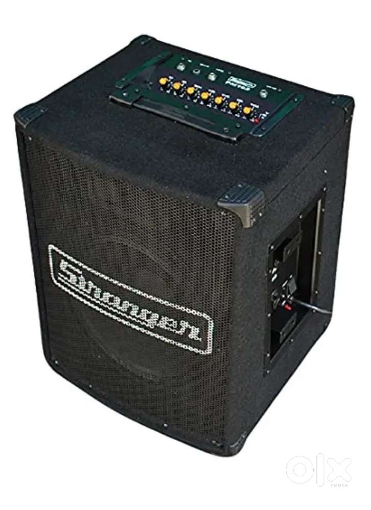 Stranger Amplifier