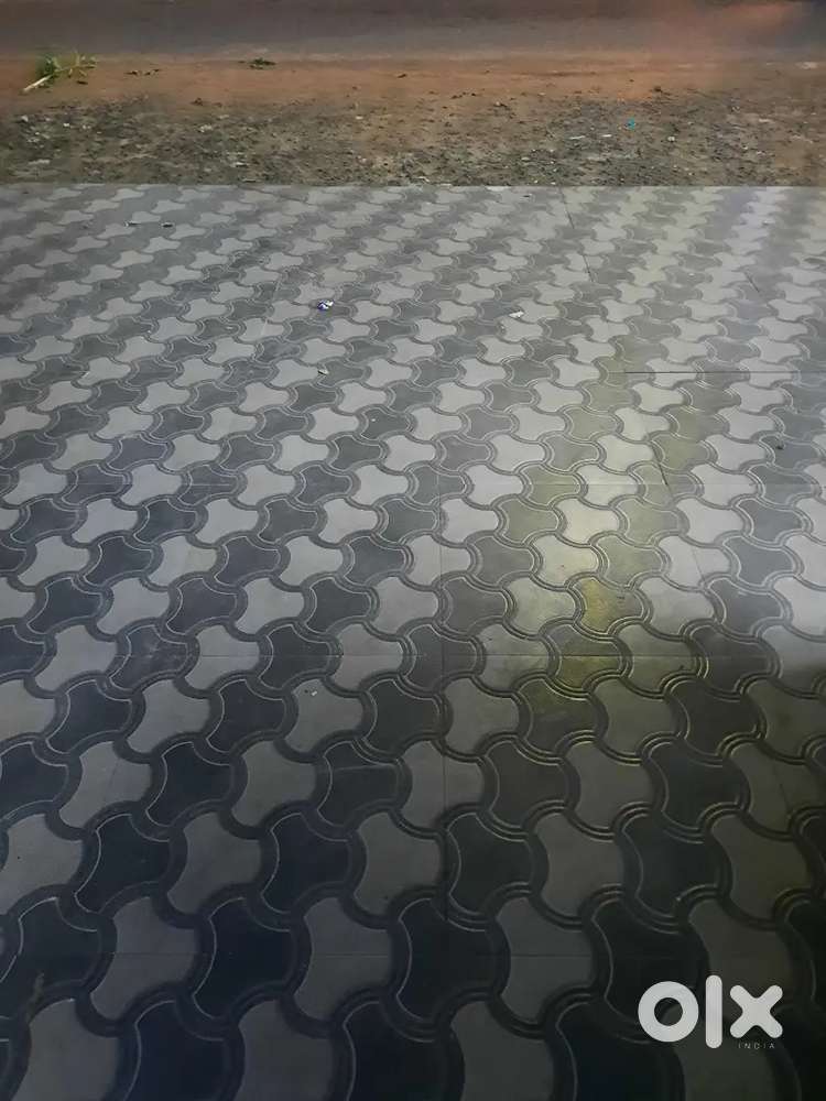 Sharing Project At Lowest Price Ever In Bhubaneswar