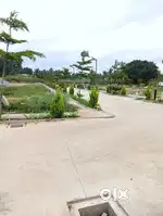 BMRDA & RERA Approved Plots – Safe & Smart Investment