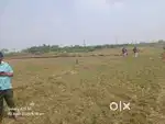 Plot for Sale